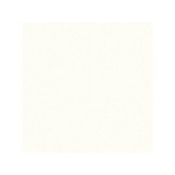 Столешница из постформинга 600*485 (белый) толщина 38мм