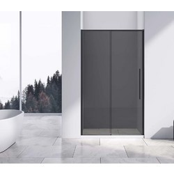 Душевая дверь Vincea Slim-N VDS-4SN120CGB