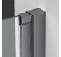 Душевая дверь Vincea Alpha VDP-3AL900CLGM